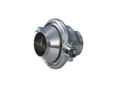 Welded check valve